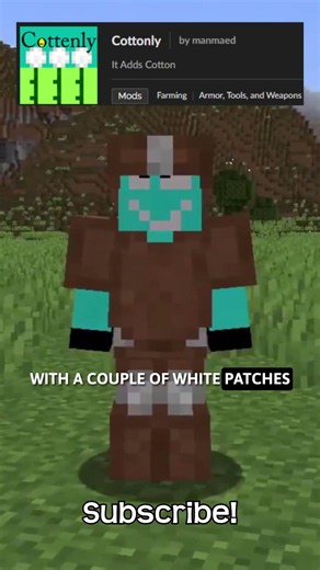 A Minecraft Mod That Adds Wool Armor!