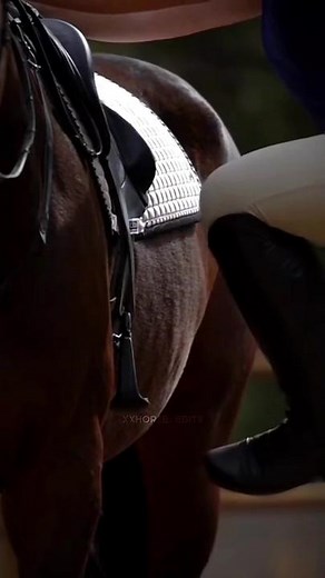 English Horse Riding Styles: Showjumping, Dressage, Saddleseat