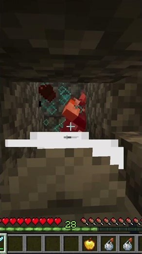 Average Villager Experience...