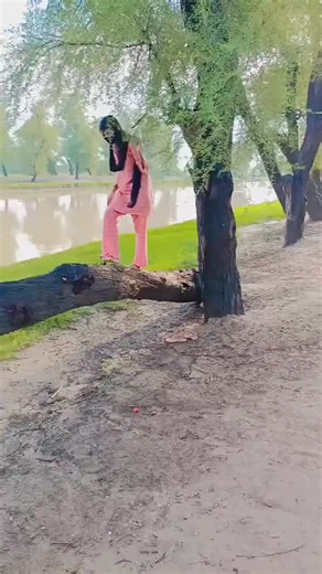 Balancing on a Fallen Tree Trunk in Nature
