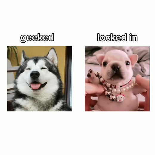 Cuentas recomendadas