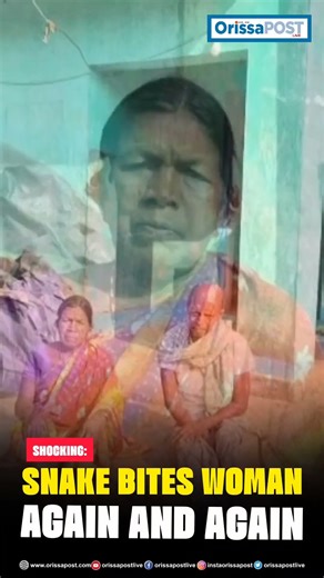 Snake Bites Woman Again And Again