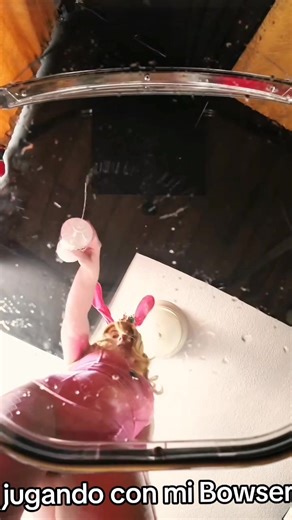 Jugando con mi Bowser #peaches #supermariobros #supermariobrosmovie #princesapeach #mariogalaxy