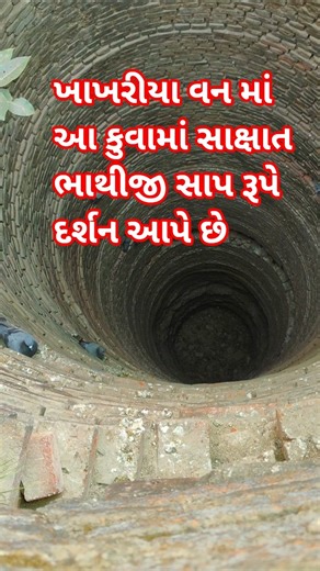 ખાખરીયા વન માં ચમત્કાર કૂવો છે ॥ જય ભાથીજી મહારાજ #trending #shorts #bhathiji #fagvel #video