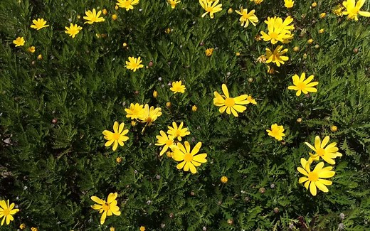 机器学习24 隐马尔可夫模型HMM