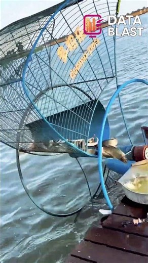 Genius Fish Trap That Catches Multiple Fish #shorts