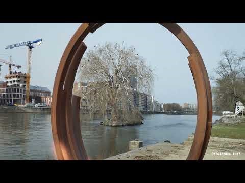 cold fusion imploaders ofthis door hemp score sore of the seas to make this engine be using this