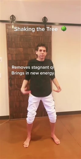 🌳 Shaking the Tree: Ancient Remedy Meets Modern Science 🌳 Why did the ancients call it the “cure for 99 diseases”? Because it moves everything that can get stuck—stress, lymph, energy, emotions. While not meant literally, here’s what it does: 🌪 Releases deep tension trapped in muscles and fascia 💧 Flushes the lymphatic system, your body’s waste-removal network 🧠 Clears brain fog by re-oxygenating tissues and moving blood ⚡ Boosts Qi (vital energy) and circulation 😌 Resets the nervous syste