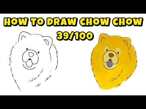 How to Draw Chow Chow Easy & Quick – 39/100 Dogs Breed Drawing Series