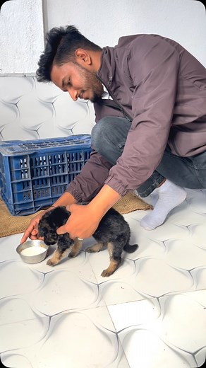 Vishal Chipiya on Instagram: "Chota sa kutta 🐕 . #trending"