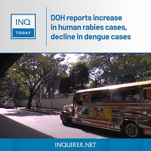 WATCH: The Department of Health reports an increase in human rabies cases and a decline in dengue cases since December last year. Read more: https://inqnews.net/HumanRabiesCases | INQUIRER.net | Facebook