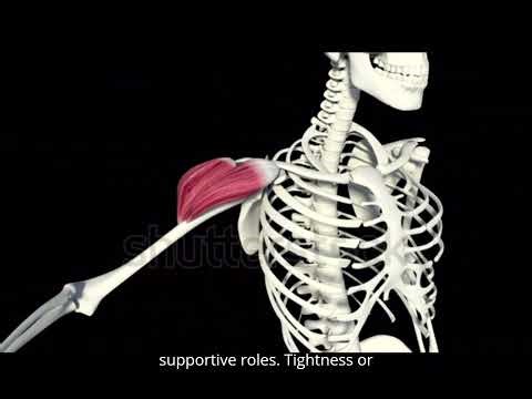 Apley Back Scratch Test