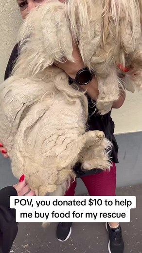 Link in the Bio to support 💔