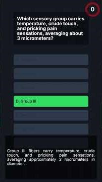 USMLE-1 Sensory Nerve Fiber Classification Challenge