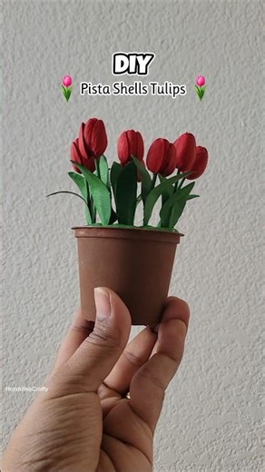 DIY Pista Shells Tulip Flower Pot🌷