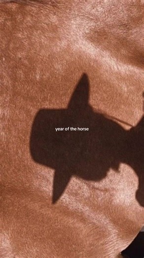 in honour of year of the horse #2026goals #2026moodboard #moodboard #2026vibe #manifestation