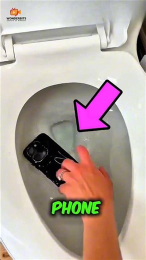 Dropped Your Phone in the Toilet? 🚽 Don’t Use Rice… Do THIS Instead!
