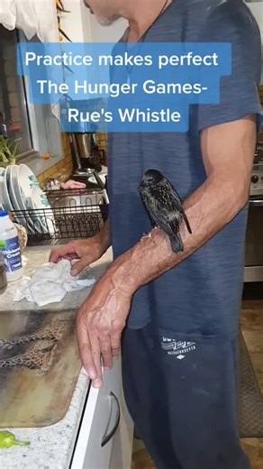 Bird Performs Perfect Hunger Games Rue's Whistle