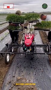 30K views · 33 reactions | Introducing the innovative vegetable...