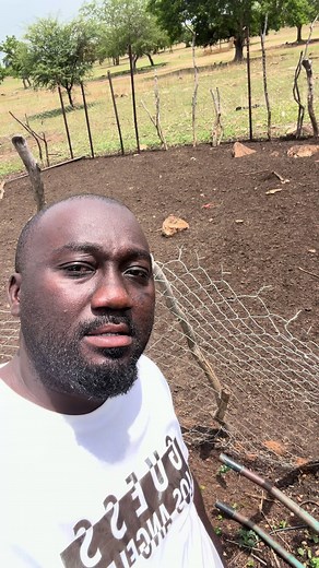 Comment récupérer et utiliser le fumier des enclos au Burkina