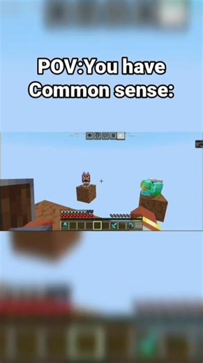 POV:You have common sense: #minecraft #gaming #memes