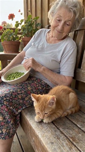 Shelling peas, she nodded off. One rolled for freedom. He objected. 🐾