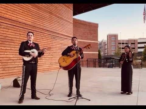 Mariachi Gala - Cielito Lindo | Live Performance
