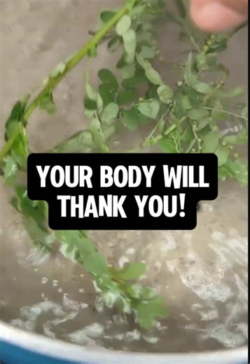 Herbs have been used for thousands of years to fantastic effect. They are amazing because they have a unique blend of minerals and offer nutrients in a way synthetic replicas simply cannot replicate. That’s why so many people experience, five, six or seven different benefits alongside the original reason they took the supplement in the first place It’s all to do with MINERALS! #naturalhealing #naturaldetox #naturalherbs #EmClimaUltraLeve