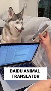 1.2K views | Do you ever wish your pet could talk? Baidu is trying to achieve that with the help of AI #pet #AI | CyberNews | Facebook