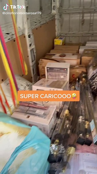 Exploring the Organized Cargo Van Interior