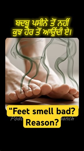 “Feet smell bad? Blame bacteria, not sweat. #bodyodor, #sweatsmell, #billbryson, #sciencefacts,