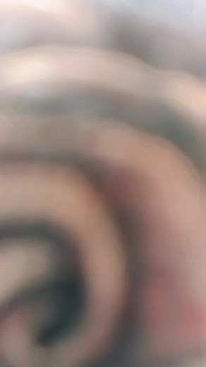 Videos de Jaime Cruz (@jaimecruz2312) con “sonido original - Jaime Cruz”