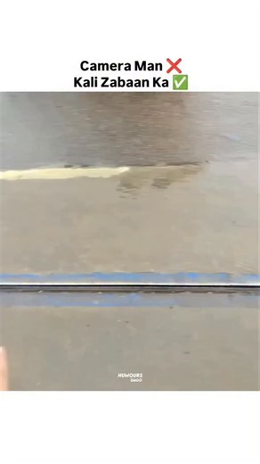 raju chandu on Instagram: "#🎂要怎麼不經意的讓另一一半看到這篇文👀 儀式感滿滿🈵🔜蛋糕小熊蠟燭旋轉褸盒🕯️ 嘿~閉上眼睛～許個願吧✨ 希望你的願望會實現 （偷偷按下機關）有我幫你準備的小驚喜唷 ⚠️ 商品是蛋糕小熊機關盒 沒有附戒指💍禮物要自己準備唷 流行周邊好物推薦搜尋 ✨ 玩具公仔搜尋🔍 寵物周邊搜尋 🔍 勗新商品資訊請看限時動態精選💭 下單方式🛒 🔜留言”+1；小編火速回覆你下單資訊 🔜留言”+1； 小編火速回覆你下單資訊 可自行截圖商品私訊購買‼️ 付款方式 台灣地📦匯款、ATM轉帳（可無摺）、街口支付 支持全球順豐配送🌍微信、支付寶收款 國外配送約2週左右 因天氣、不可控因素可能延誤 能接受再下單🗳️可詢問客服配送進度."