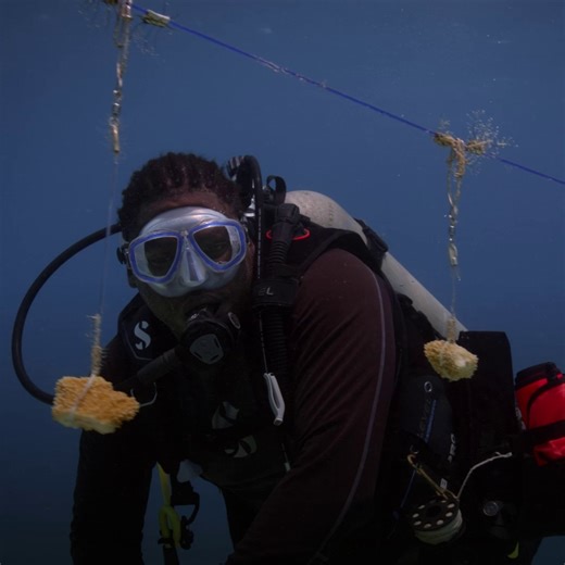 28K views · 302 reactions | By carefully maintaining these coral nurseries, the team at Disney Lookout Cay helps contribute to local conservation efforts 視 Magic of Disney Lookout Cay at Lighthouse Point premieres this Friday, January 17, at 10/9c on National Geographic. | National Geographic TV | Facebook