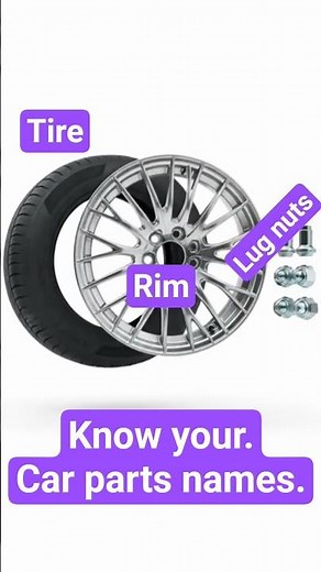 Car Anatomy: Essential Car Parts Explained #cardriving #carparts