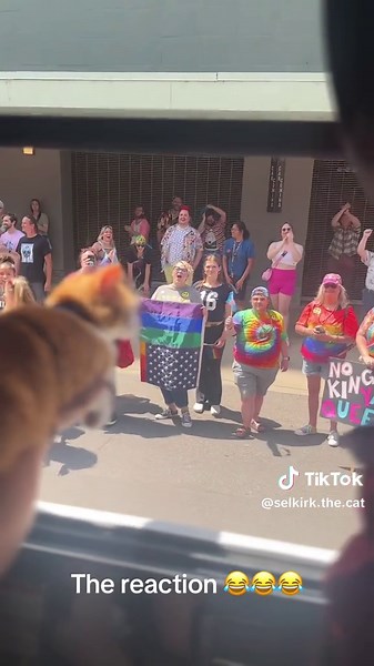 Cat Steals the Spotlight from Fire Truck