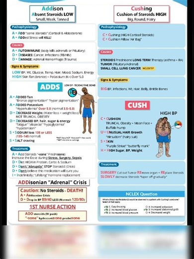 Cushing Syndrome vs Addison’s Disease | Easy NCLEX Review | Endocrine System📘