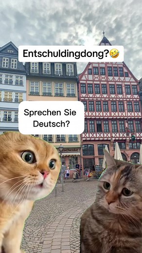 Funny German Language Memes Compilation | Laugh Out Loud