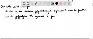 SOLVED:Some bacteria catabolize glucose by the Entner-Doudoroff pathway, a variant of glycolysis in which glucose- 6 -phosphate is converted to 6 phosphogluconate (as in the pentose phosphate pathway ) and then to 2 -keto- 3 -deoxy- 6 -phosphoglaconate (KDPG). Next, an aldolase acts on KDPG. (a) Draw the structures of the products of the KDPG aldolase reaction. (b) Describe how these reaction products are further metabolized by glycolytic enzymes (c) What is the ATP yield when glucose is metabol