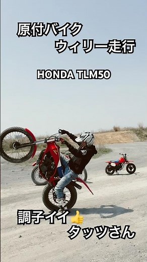 調子イイ タッツさん 原付バイク ウィリー走行 HONDA TLM50 #トライアル #オフロード #50cc #2サイクル #フロントアップ #enduro