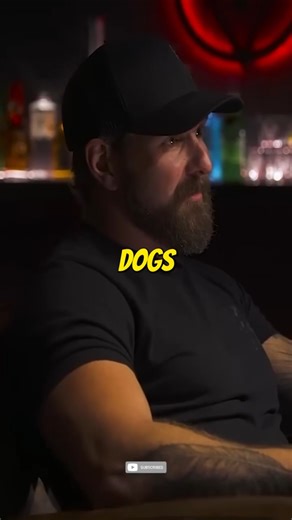 DJ Shipley: I Like Dogs More Than People