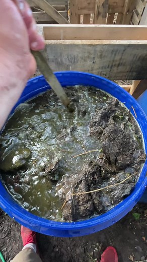 DIY Homemade Liquid Fertilizer for Your Garden