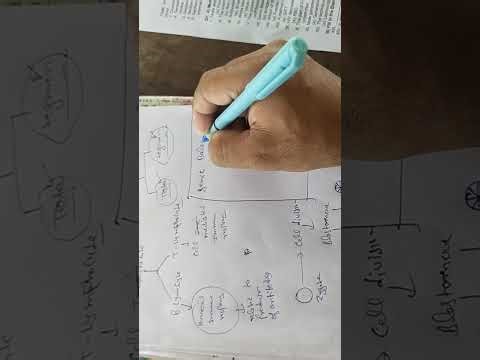 12th biology Sample paper for September exam