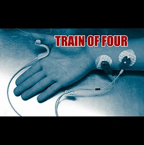 3.8K views · 68 reactions | SOMETHING ON THE TRAIN OF 4 1....