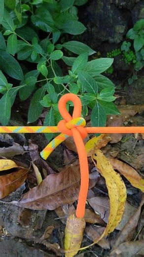 Quick Rope Joining Knot