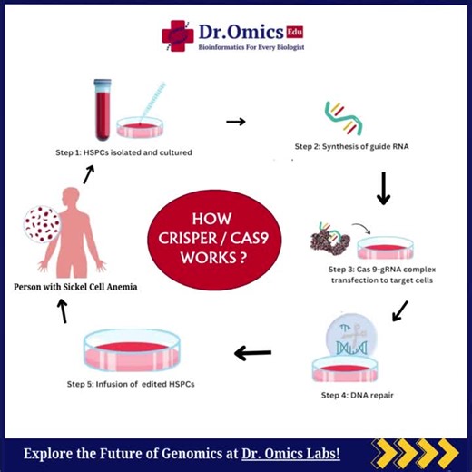 🚀 *No Prior Experience Needed! Your CRISPR/Cas9 Gene Editing Journey Starts HERE!* 🧬👉 *Transform Your Research in Just 5 Days:* https://zurl.co/FWXu7Join our *5-Days Hands-on CRISPR/Cas9… | DrOmics Research Lab