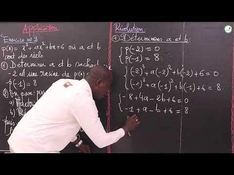 Exercices - Terminale L - Mathématiques : Factorisation des polynômes / Suite 1 / M. Mbow