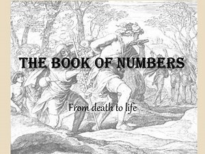 The book of numbers - SlideServe