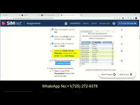 In Practice Excel 365 Application Capstone Project 2 Alternate | SIMnet complete solution 100%