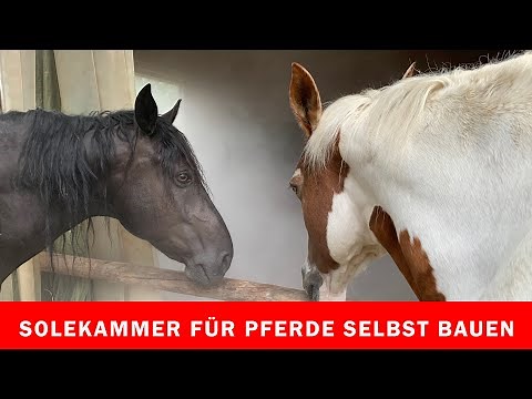 Solevernebleranlage für Inhalationen für Pferde selbst bauen